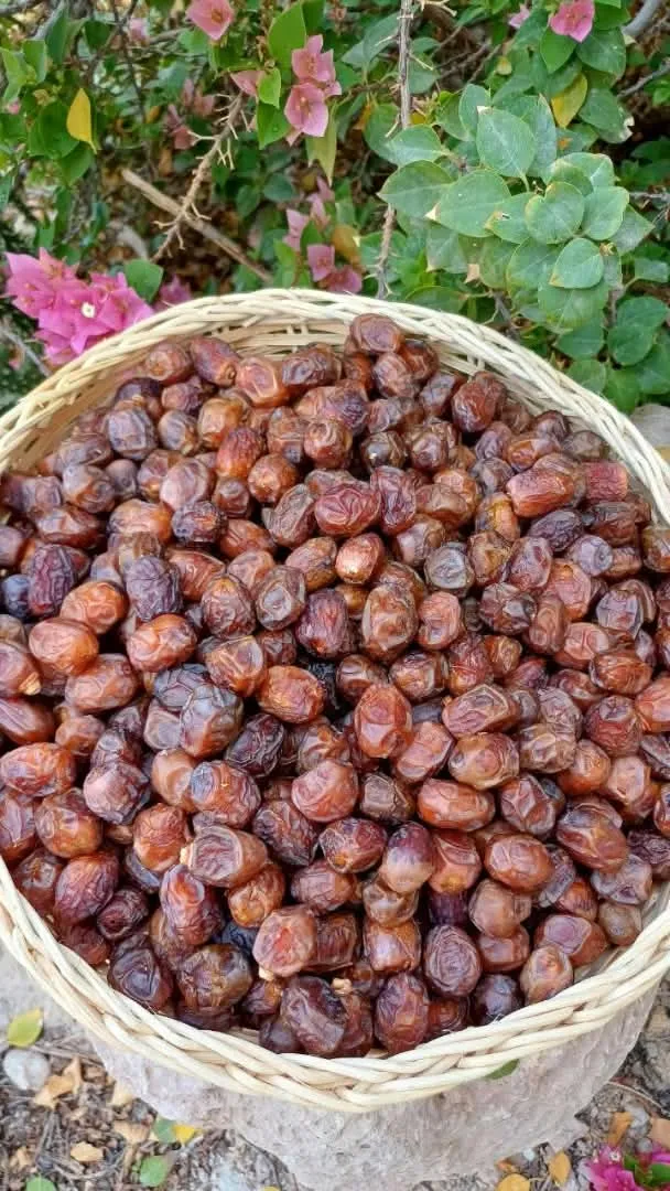 خاصویی